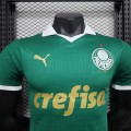 Maillot Match Palmeiras Domicile 2024/2025