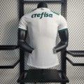 Maillot Match Palmeiras Exterieur 2023/2024