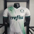 Maillot Match Palmeiras Exterieur 2023/2024