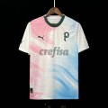 acheter Maillot Palmeiras Cancer Awareness Gardien De But 2023/2024