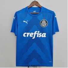 Maillot Palmeiras Gardien De But Blue 2022/2023